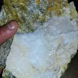 5 (2)