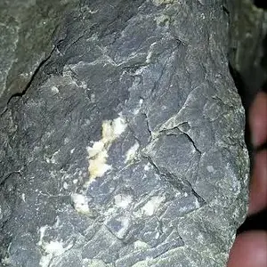 15a (2)