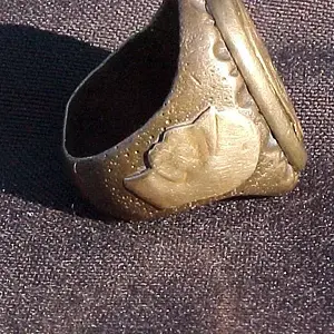 ring1