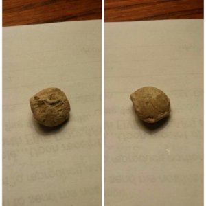 A piece of a spent bullet looks as if it was round.  Not sure if its a historical find or a modern bullet.  Found in my backyard