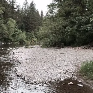 IMG 0610