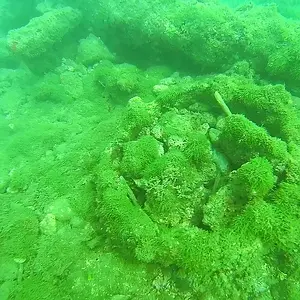cabarete bay exploration week2 17619621914 o