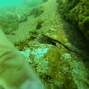 cabarete bay exploration week2 17619640774 o