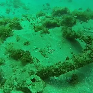 cabarete exploration discovery  16772007474 o