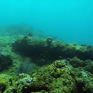 cabarete exploration discovery  16772018204 o