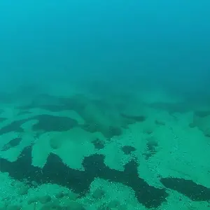 cabarete exploration discovery  17187039157 o