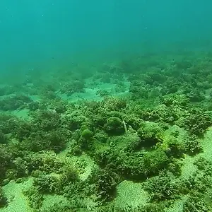 cabarete exploration discovery  17187050177 o