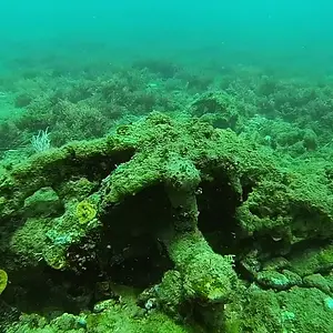 cabarete exploration discovery  17206684108 o