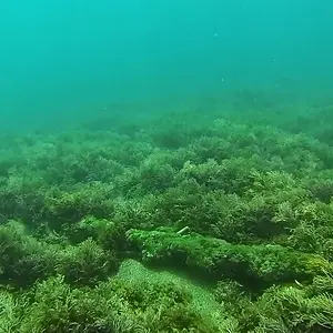 cabarete exploration discovery  17206692128 o