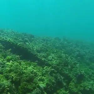 cabarete exploration discovery  17206920260 o
