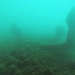 cabarete exploration engineroom braces 17770060874 o