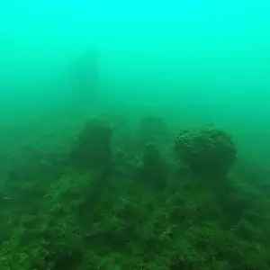 cabarete exploration engineroom braces 18204988300 o