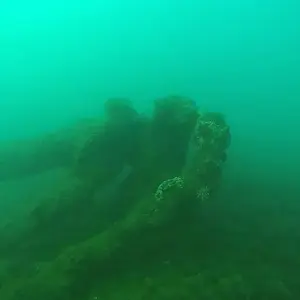 cabarete exploration engineroom braces 18206504109 o