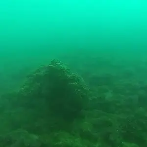 cabarete exploration engineroom braces 18388574042 o