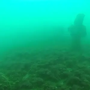 cabarete exploration engineroom braces 18388575712 o