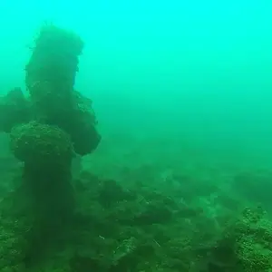 cabarete exploration engineroom braces 18388577642 o