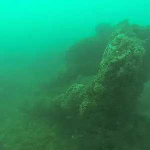 cabarete exploration engineroom braces 18394313321 o