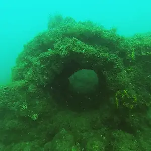 cabarete exploration engineroom braces 18394321401 o