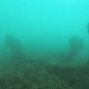 cabarete exploration engineroom braces 18394322891 o