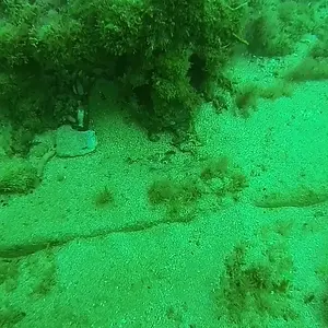 cabarete exploration 2015 18307127338 o