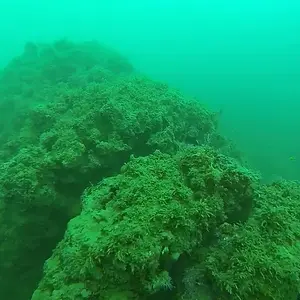 cabarete exploration 2015 18307139288 o