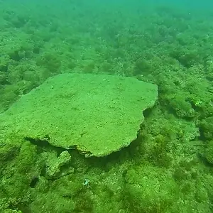cabarete exploration 2015 18307230640 o