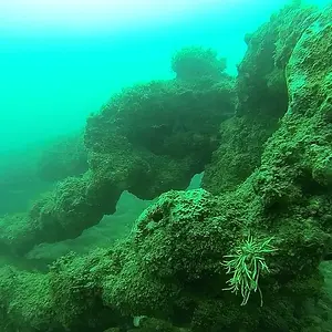 cabarete exploration 2015 18308784689 o