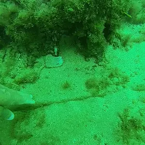 cabarete exploration 2015 18308792409 o