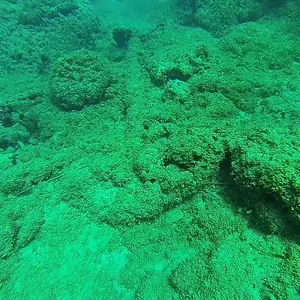 exploration cabarete2015 18529196062 o