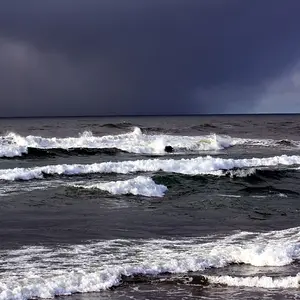 IMG 7778