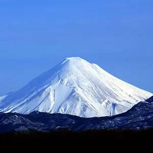 IMG 7417