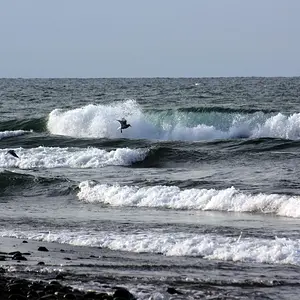 IMG 7315