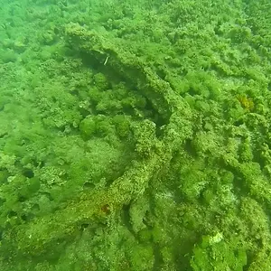 top of reef 2M