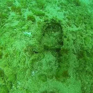 top of reef 2M