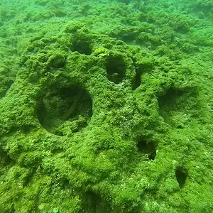 top of reef 2M