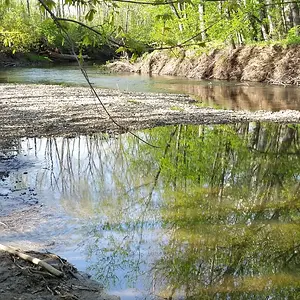 Honey Hole spot