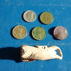 20150910 173608  Sherry's House Notables.  1897 IHP, 1917-S Merc, 3 wheats 1920 S or D, 34 and a toasted 1920 I think.  Also a cool carved lead bird h