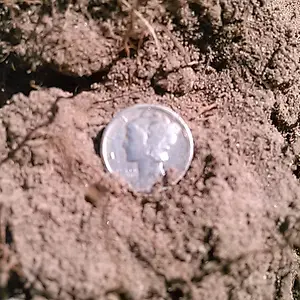 1920 Mercury Dime 1