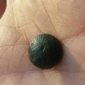 1443303769322