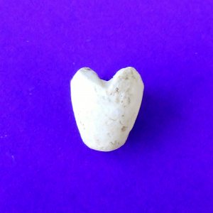 I dug this .58 cal. bullet carved into a tooth at a U.S. camp in late Sept. 2015. The funny thing is tat I dug it on a friday after I had a root canal