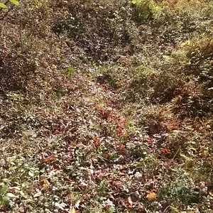 1445207575914