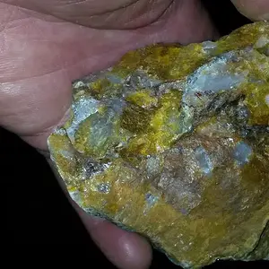 Pic 5