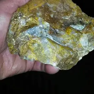 Pic 8