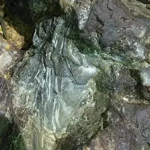 Pic 15