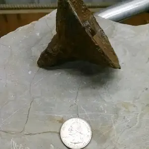 1445728098698