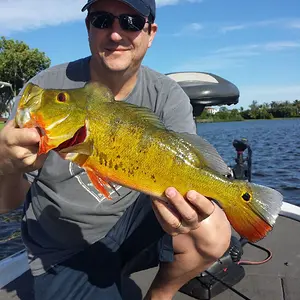 20150504 Me with a peacock bass caught in the canals around Miami on a fishing trip with my father.