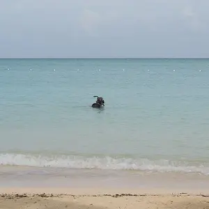 IN JAMAICAN WATERS