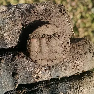 IMG 20151210 150730