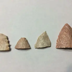 Tips and mid-section, 6 acre field