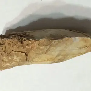 5B. Core edge?
Swiss, MO